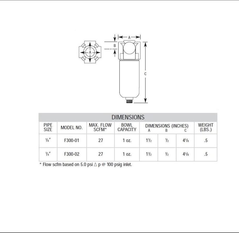 F300-01 ARROW MINI PARTICULATE FILTER<BR>1/8" NPT, 20MIC