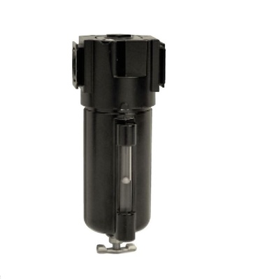 ARROW PARTICULATE FILTER&lt;BR&gt;1/4&quot; NPT, 40MIC, MB W/SG &amp; FD