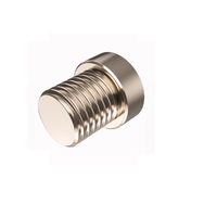 TURCK PART&lt;BR&gt;M8 MALE CLOSURE CAP BRASS