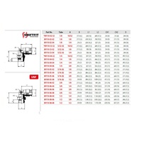 89110V-04-02 AIGNEP NP BRASS PUSH-IN FITTING<BR>1/4" TUBE X 1/8" UNIV MALE SWIVEL ELBOW (VITON)