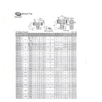 PB1/4-02 PISCO PLASTIC PUSH-IN FITTING<BR>1/4" TUBE X 1/4" BSPT MALE BRANCH TEE