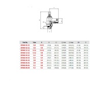 85968-04-02 AIGNEP FLOW CONTROL<BR>1/4" TUBE X 1/8" UNF MALE METER IN W/KNOB