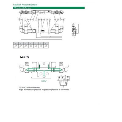 122RC100J016W00 NUMATICS/AVENTICS SANDWICH REGULATOR<BR>2012 SERIES DUAL PR/NRC 10-130PSI, TFG